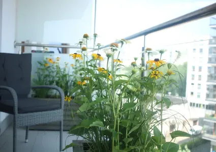 Balkon - Bielany