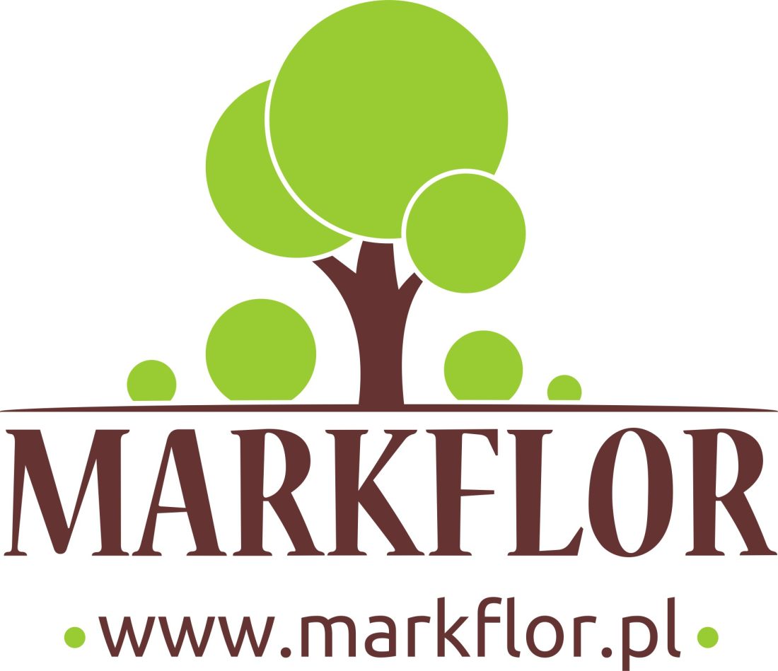 logo markflor final